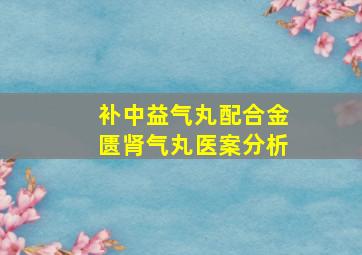 补中益气丸配合金匮肾气丸医案分析