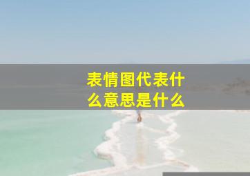 表情图代表什么意思是什么