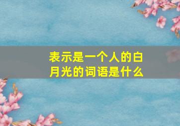 表示是一个人的白月光的词语是什么