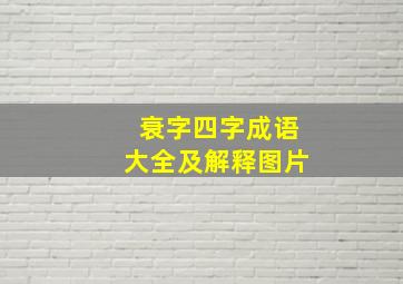 衰字四字成语大全及解释图片