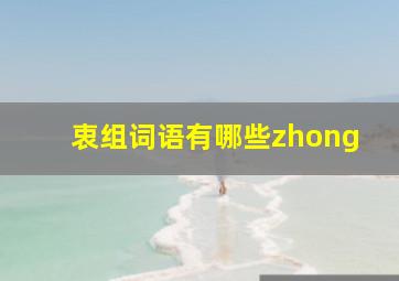 衷组词语有哪些zhong