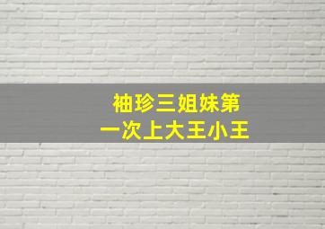 袖珍三姐妹第一次上大王小王