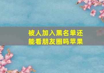 被人加入黑名单还能看朋友圈吗苹果