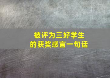 被评为三好学生的获奖感言一句话