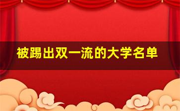 被踢出双一流的大学名单