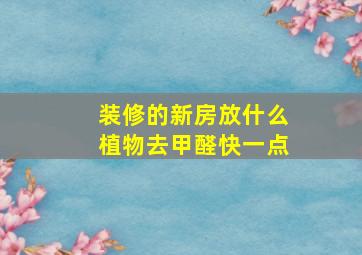 装修的新房放什么植物去甲醛快一点