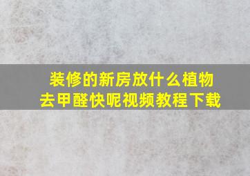 装修的新房放什么植物去甲醛快呢视频教程下载