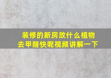 装修的新房放什么植物去甲醛快呢视频讲解一下