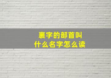 裹字的部首叫什么名字怎么读