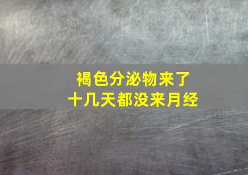 褐色分泌物来了十几天都没来月经