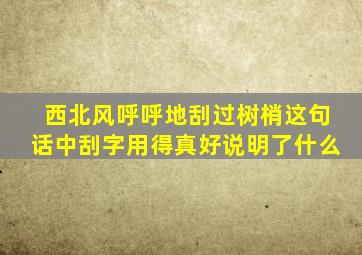 西北风呼呼地刮过树梢这句话中刮字用得真好说明了什么