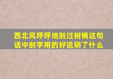 西北风呼呼地刮过树梢这句话中刮字用的好说明了什么