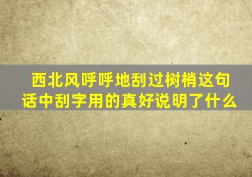 西北风呼呼地刮过树梢这句话中刮字用的真好说明了什么