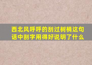 西北风呼呼的刮过树梢这句话中刮字用得好说明了什么