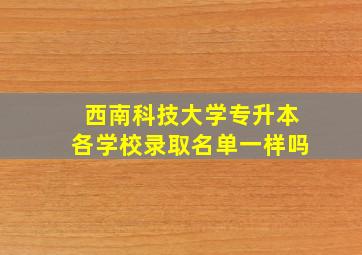 西南科技大学专升本各学校录取名单一样吗