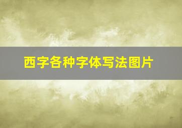 西字各种字体写法图片