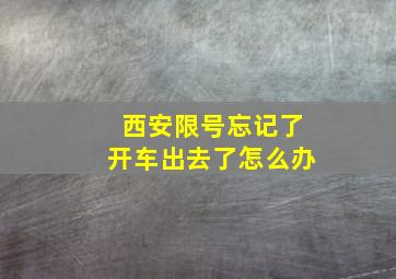 西安限号忘记了开车出去了怎么办