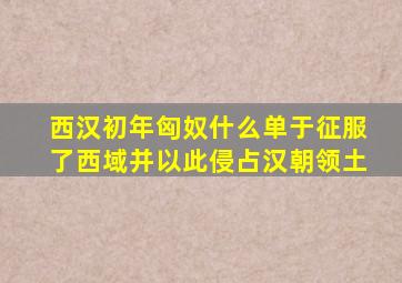 西汉初年匈奴什么单于征服了西域并以此侵占汉朝领土