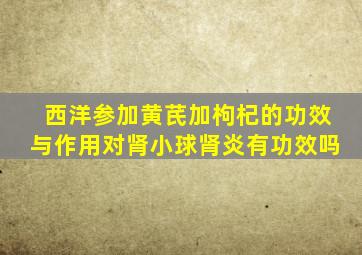 西洋参加黄芪加枸杞的功效与作用对肾小球肾炎有功效吗