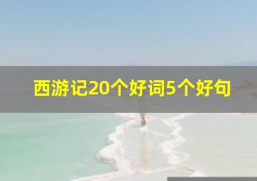 西游记20个好词5个好句