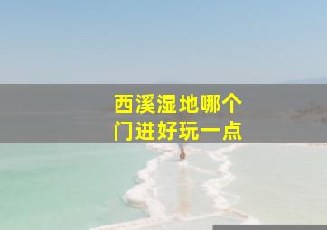 西溪湿地哪个门进好玩一点