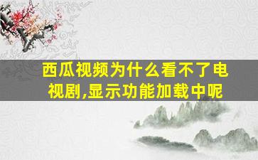 西瓜视频为什么看不了电视剧,显示功能加载中呢