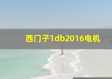 西门子1db2016电机