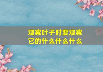 观察叶子时要观察它的什么什么什么