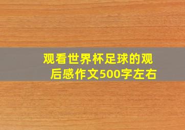 观看世界杯足球的观后感作文500字左右