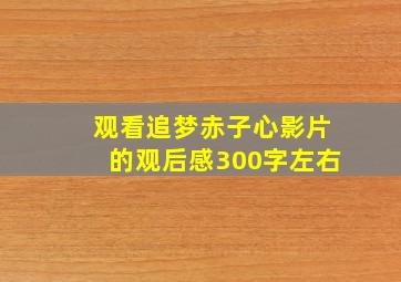 观看追梦赤子心影片的观后感300字左右