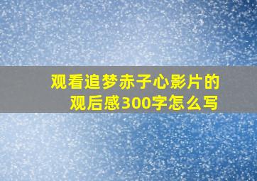 观看追梦赤子心影片的观后感300字怎么写