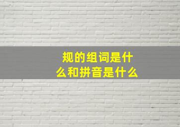 规的组词是什么和拼音是什么