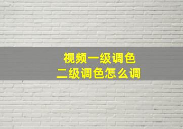 视频一级调色二级调色怎么调