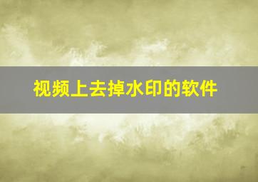 视频上去掉水印的软件