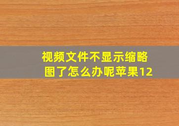 视频文件不显示缩略图了怎么办呢苹果12