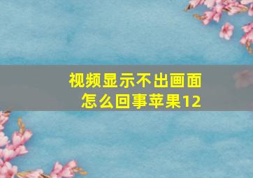 视频显示不出画面怎么回事苹果12