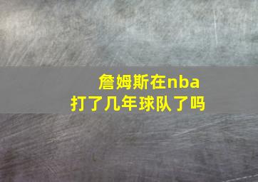 詹姆斯在nba打了几年球队了吗