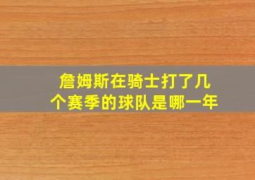 詹姆斯在骑士打了几个赛季的球队是哪一年