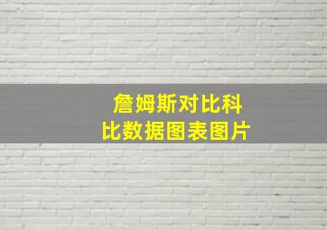 詹姆斯对比科比数据图表图片