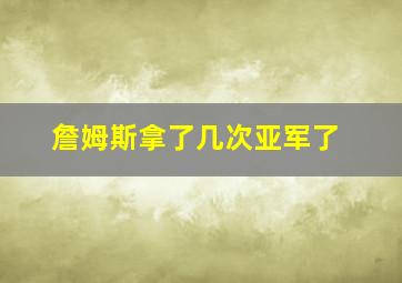 詹姆斯拿了几次亚军了