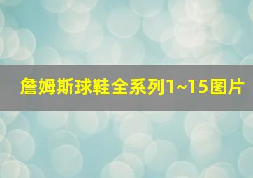 詹姆斯球鞋全系列1~15图片