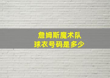 詹姆斯魔术队球衣号码是多少