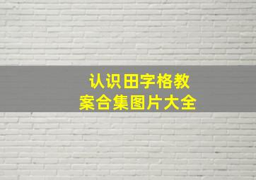 认识田字格教案合集图片大全