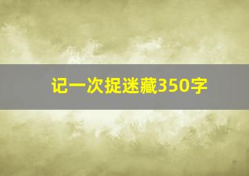 记一次捉迷藏350字