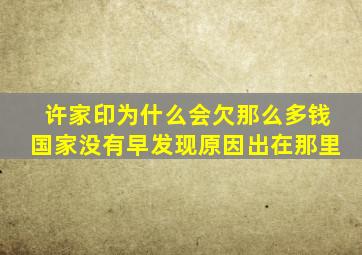 许家印为什么会欠那么多钱国家没有早发现原因出在那里