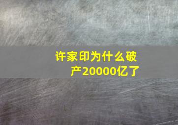 许家印为什么破产20000亿了