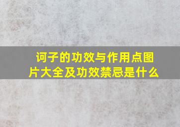 诃子的功效与作用点图片大全及功效禁忌是什么