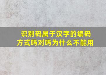 识别码属于汉字的编码方式吗对吗为什么不能用