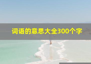 词语的意思大全300个字