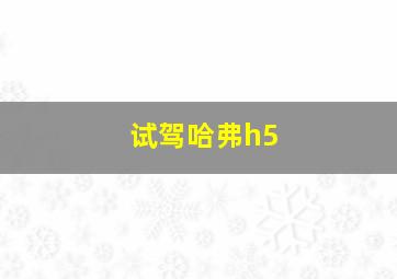 试驾哈弗h5